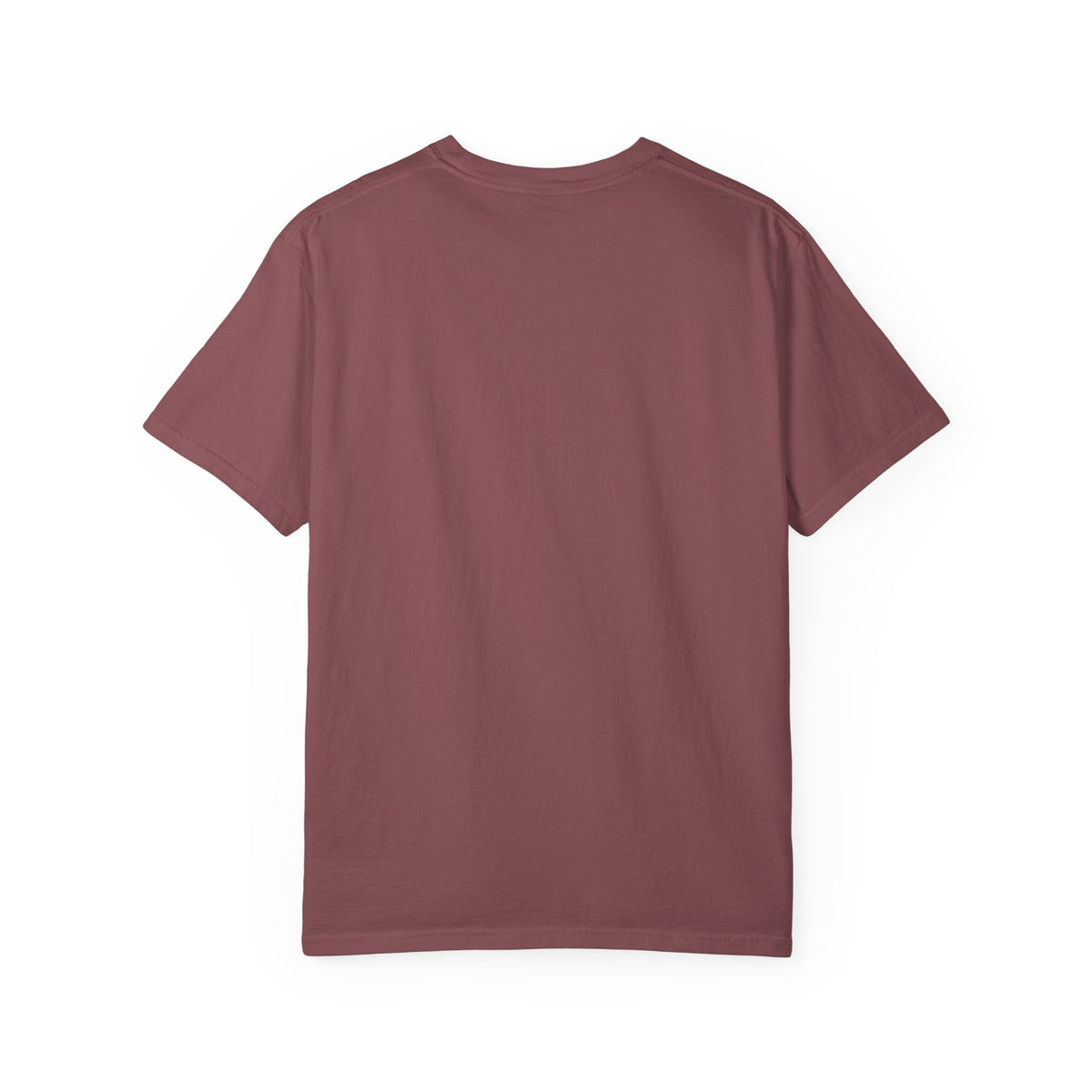 Waterfall Adventure T-Shirt — "Go Chase Waterfalls" Graphic Tee