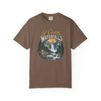 Waterfall Adventure T-Shirt — "Go Chase Waterfalls" Graphic Tee