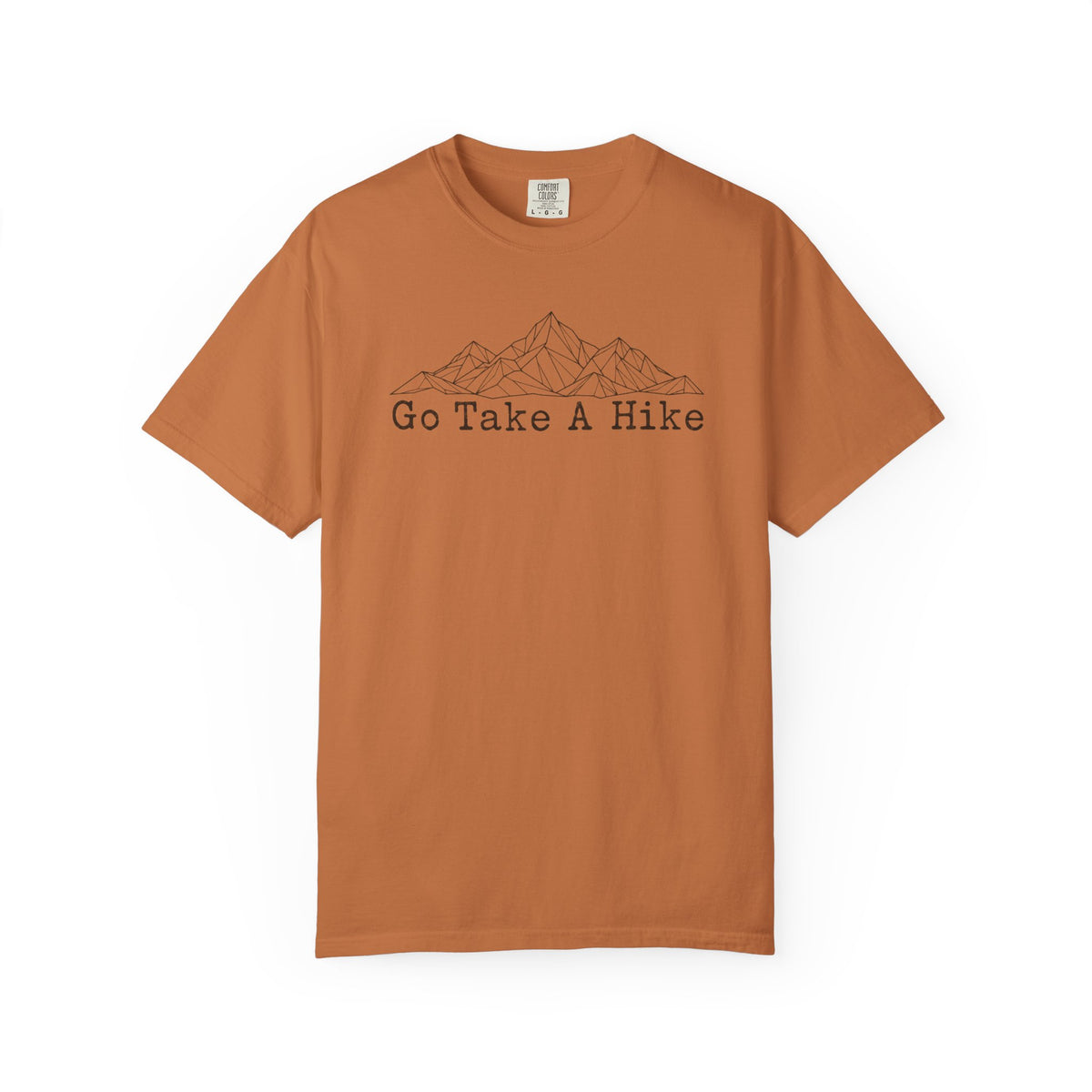 Go Take A Hike Geometric Mountain Tee | Vintage Comfort Colors Hiking Shirt